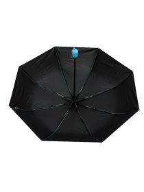 Парасолька Famo модель PK-A-1005_02 Фото