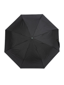 Парасолька Famo модель PK-A-1005_04 Фото