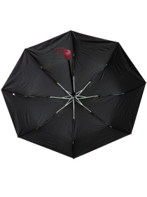 Парасолька Famo модель PK-A-1005_05 Фото