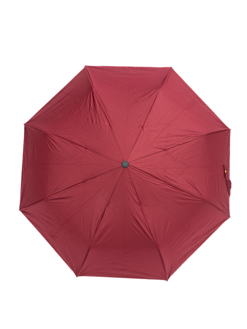 Зонты Famo модель PK-A-1005_05 Фото