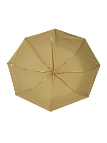 Зонты Famo модель PK-M-1007_02 Фото