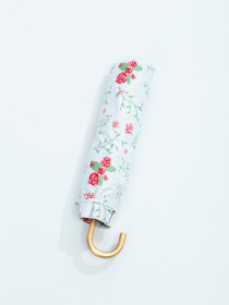 Парасолька Famo модель PK-M-1007_03 Фото