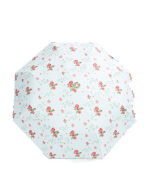 Парасолька Famo модель PK-M-1007_03 Фото