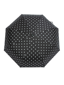 Парасолька Famo модель PK-M-1009_02 Фото