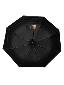Парасолька Famo модель PK-M-1009_03 Фото