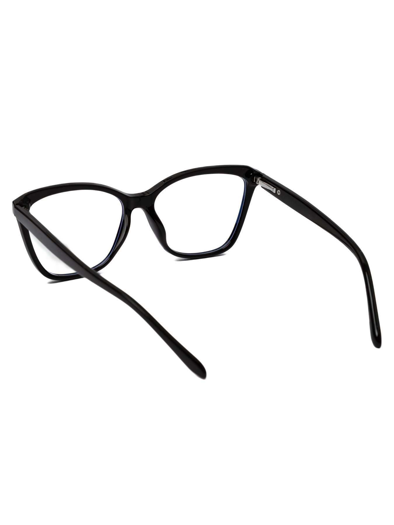 Іміджеві окуляри Famo модель E6010_01 Фото