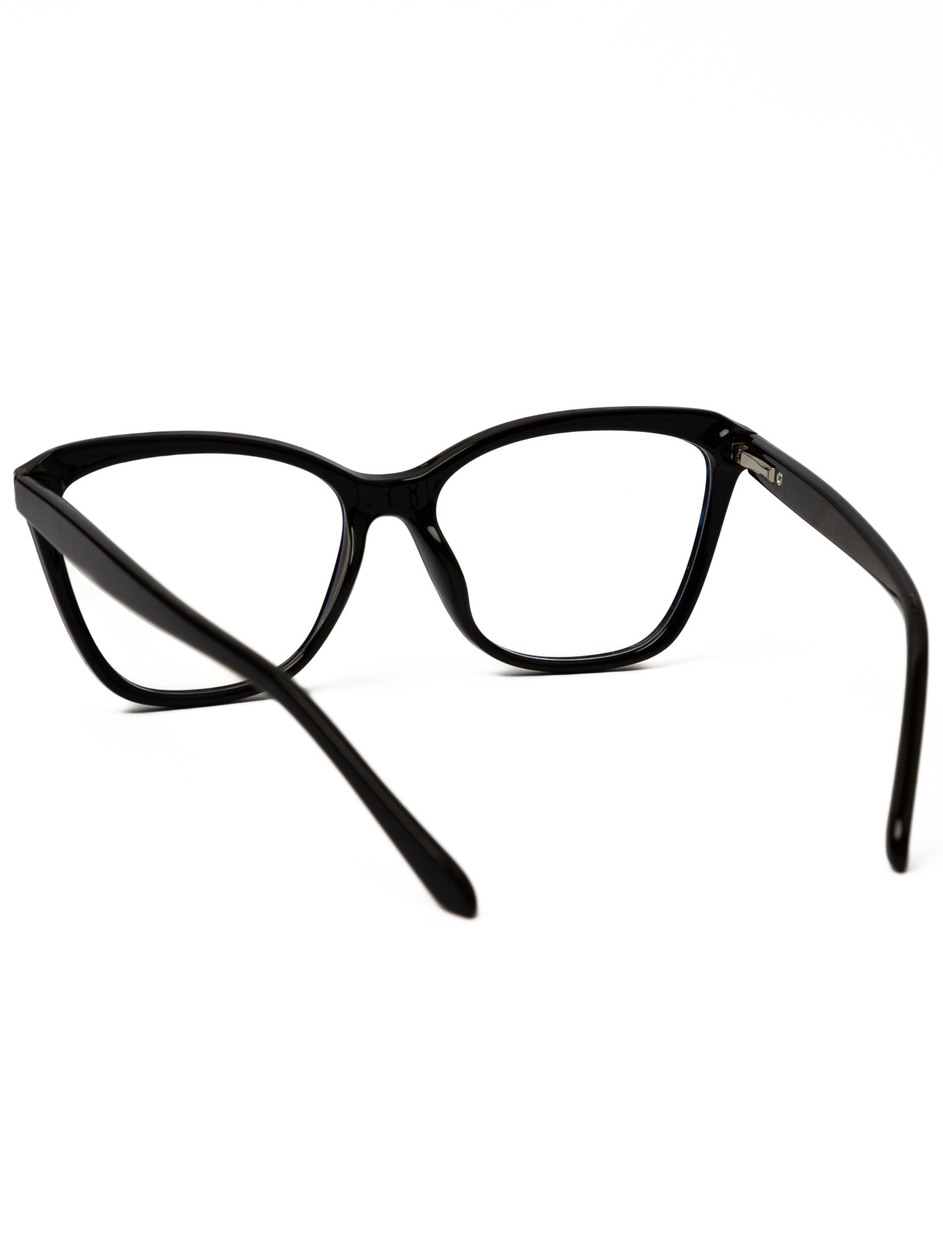 Іміджеві окуляри Famo модель E6010_01 Фото