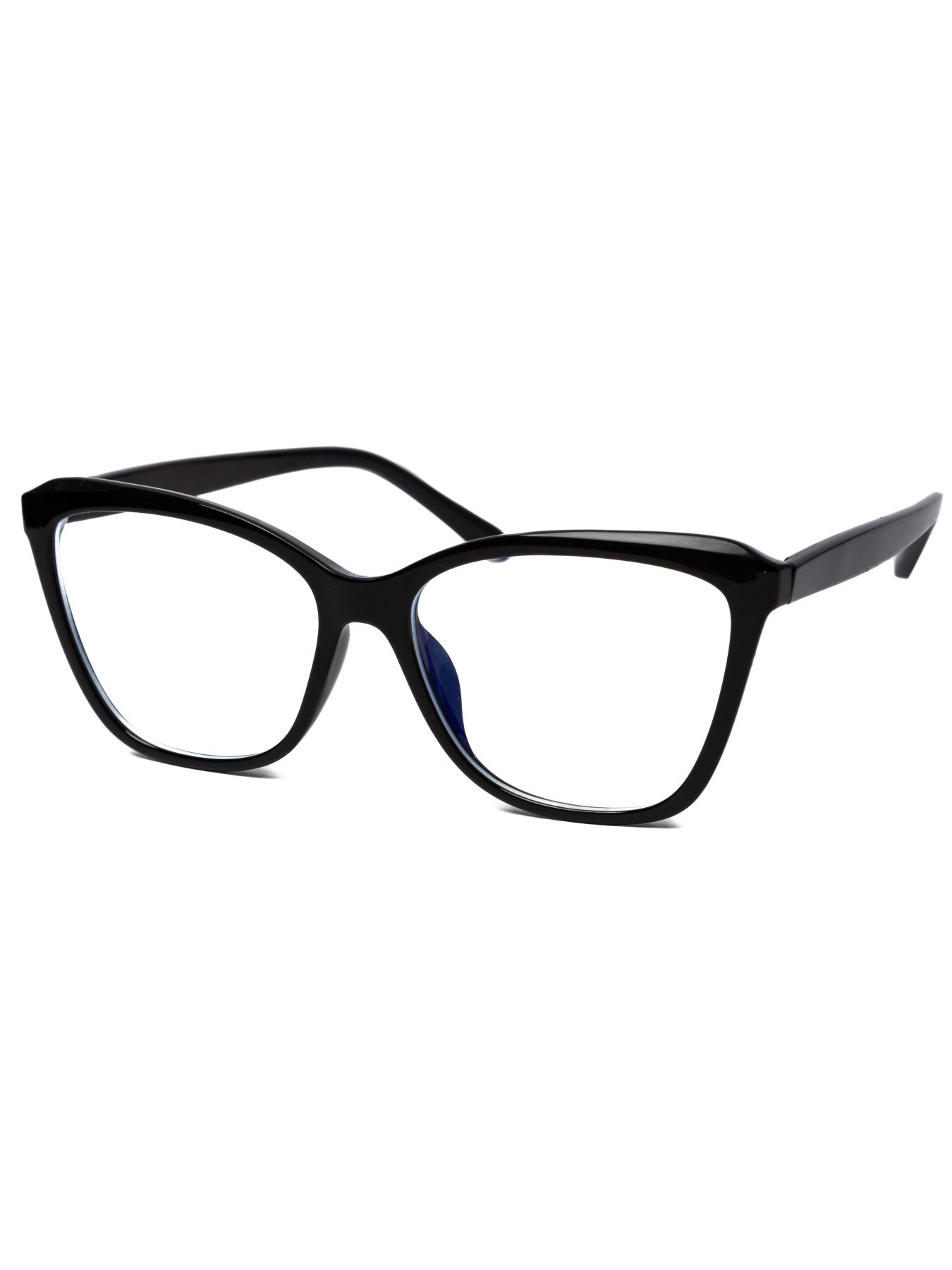 Іміджеві окуляри Famo модель E6010_01 Фото