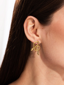 Серьги-подвески Famo модель SER-13188_01 Фото