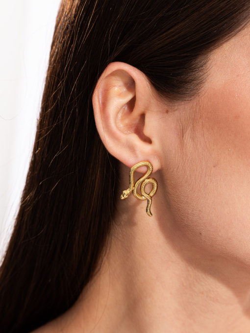 Серьги-подвески Famo модель SER-13188_01 Фото