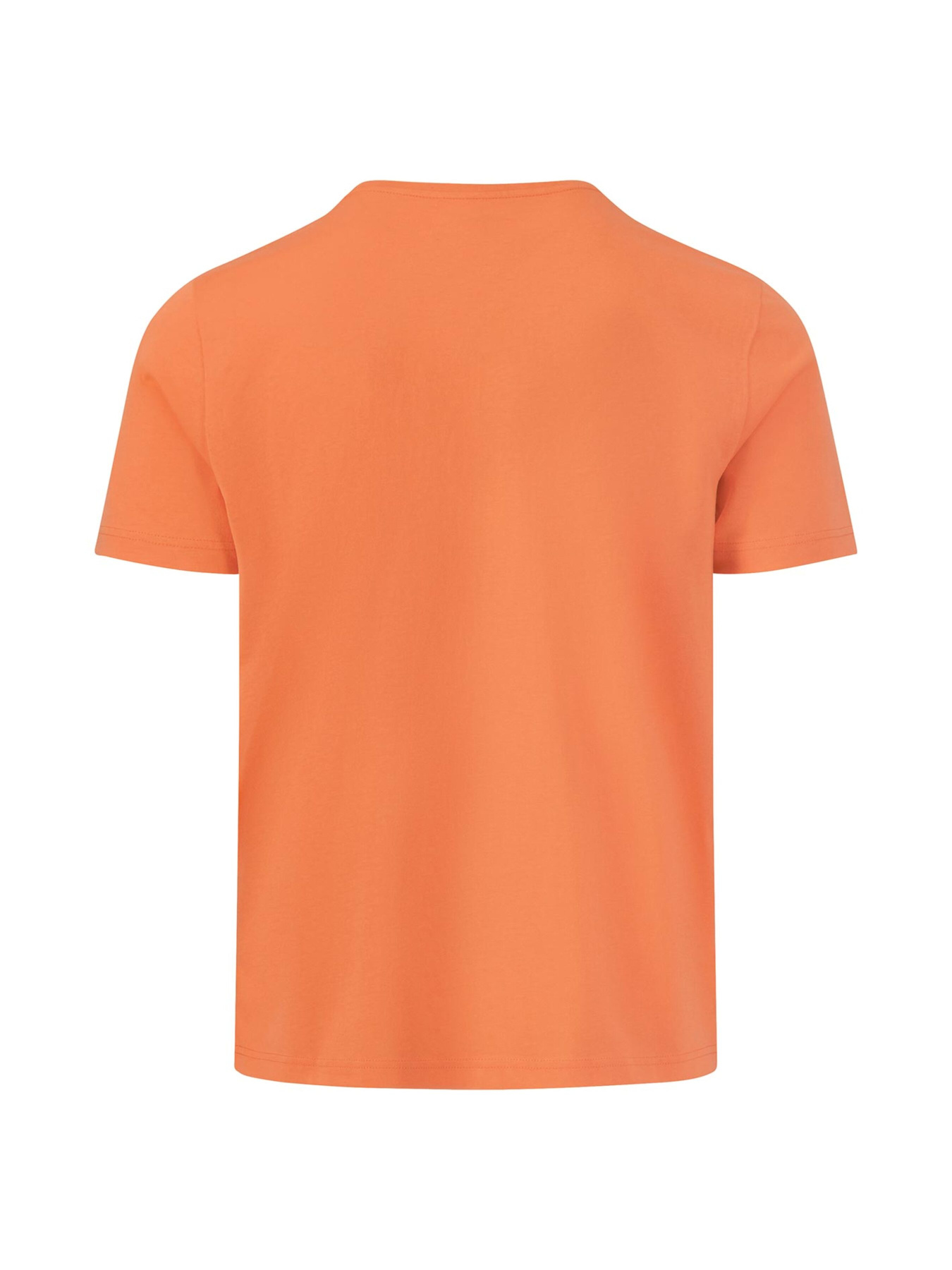 Футболка Fynch-Hatton модель FH.-1413.1500.207 Фото