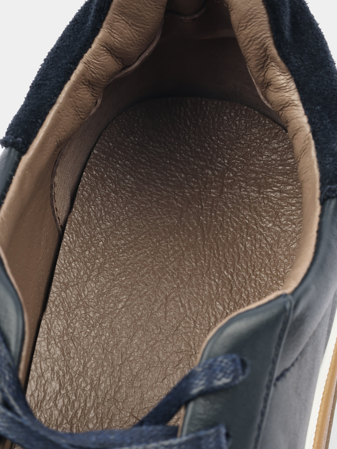 Кеды низкие Horton Volere модель 1013-8 Фото