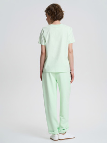 Футболки и поло Роза модель 231104_light_green Фото