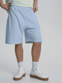 Повсякденні шорти Роза модель 240626_gray_blue Фото