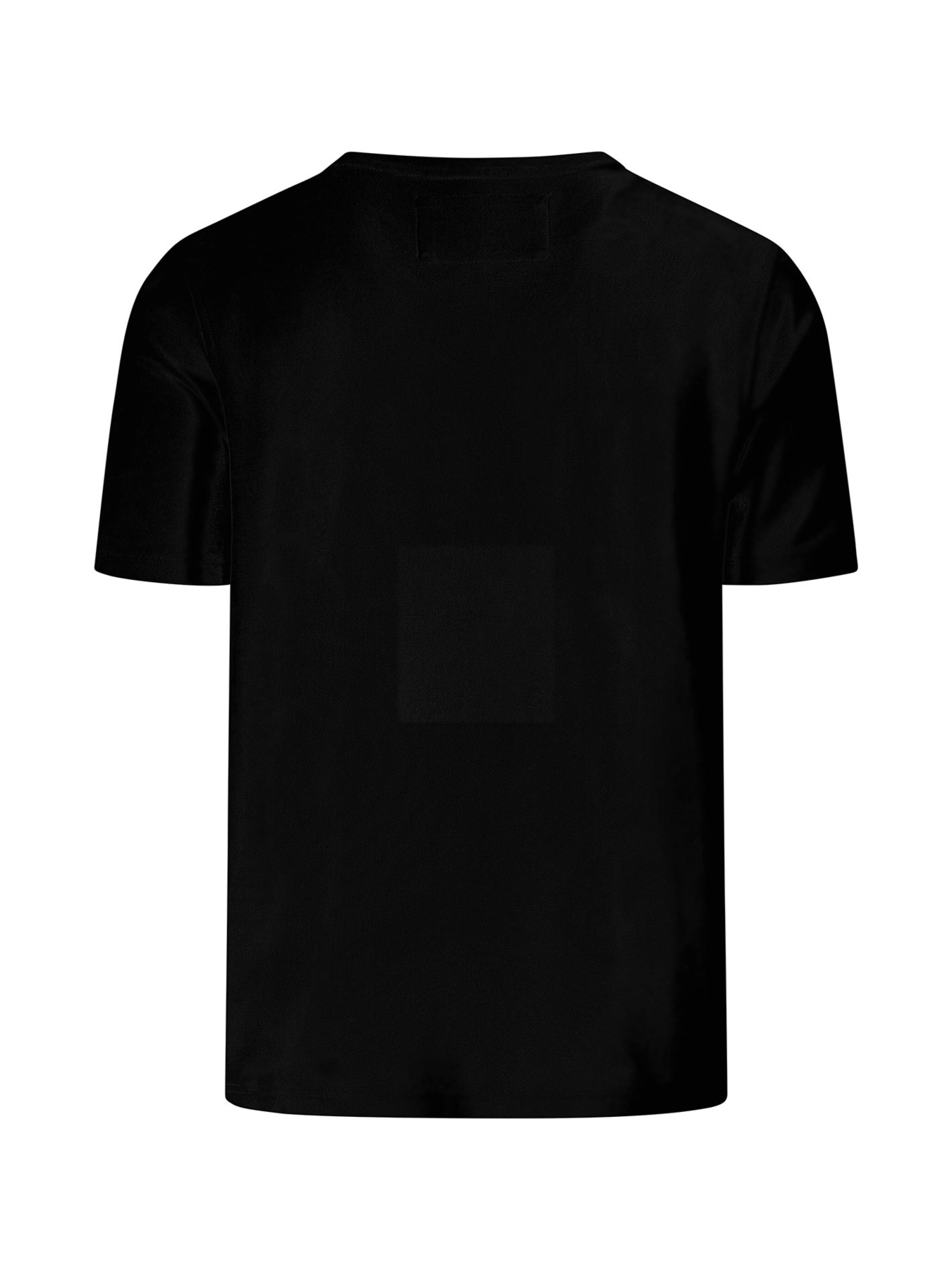 Футболка Fynch-Hatton модель FH.-1413.1707.999 Фото