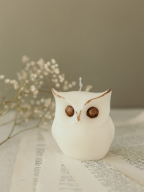 Ароматична свічка "Сова", аромат "Дубовий мох і амбра", з натурального оливкового воску Candle Design модель 140.2001 Фото