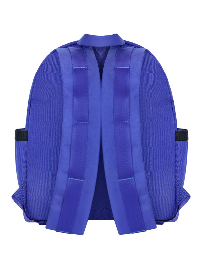 Рюкзак Bagland модель BGBundleMulticolored2RKZK — фото 3 - INTERTOP