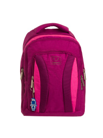 Повсякденний рюкзак Bagland модель BGDriveRaspberryPinkRKZK Фото
