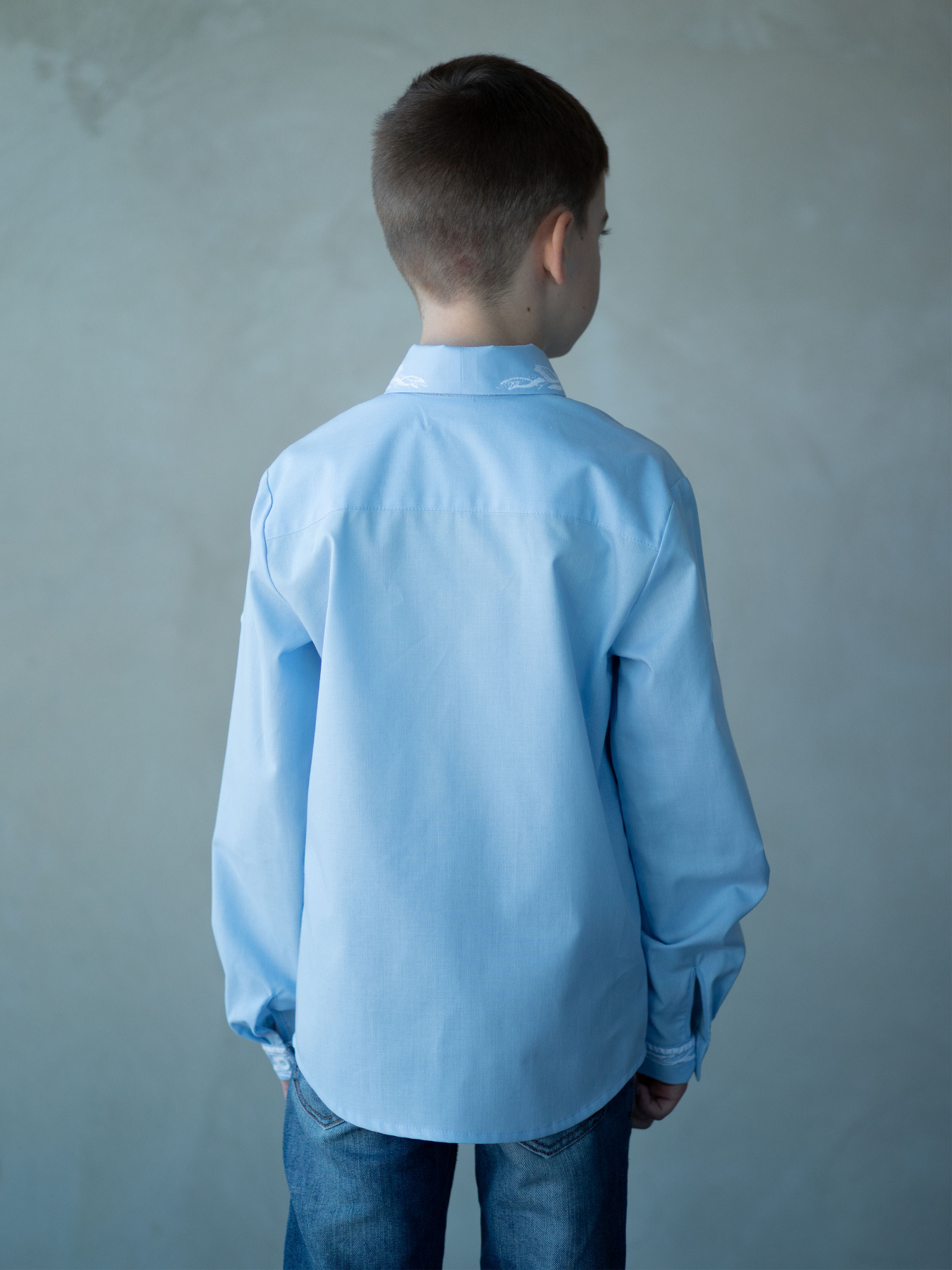 Вышитая рубашка Едельвіка модель 140-22-00blue Фото