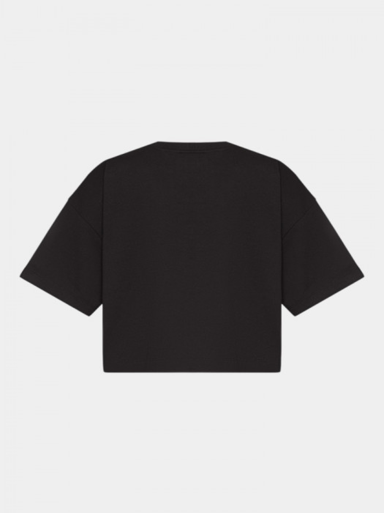 Футболки і поло Blazh модель 8521 Фото