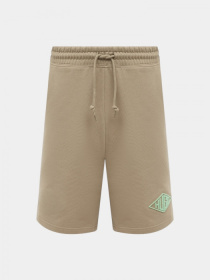 Шорты HUGO модель 8548 Фото