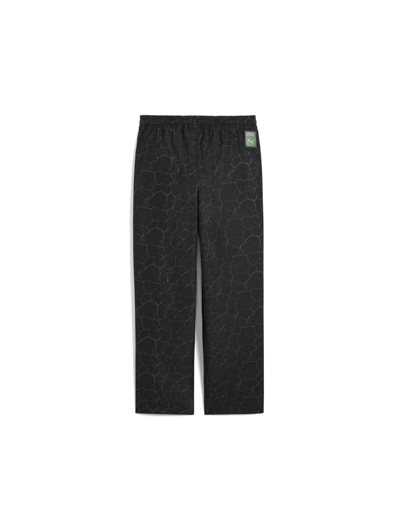 Штаны спортивные PUMA x Tmnt Tech Pants модель 630103 Фото