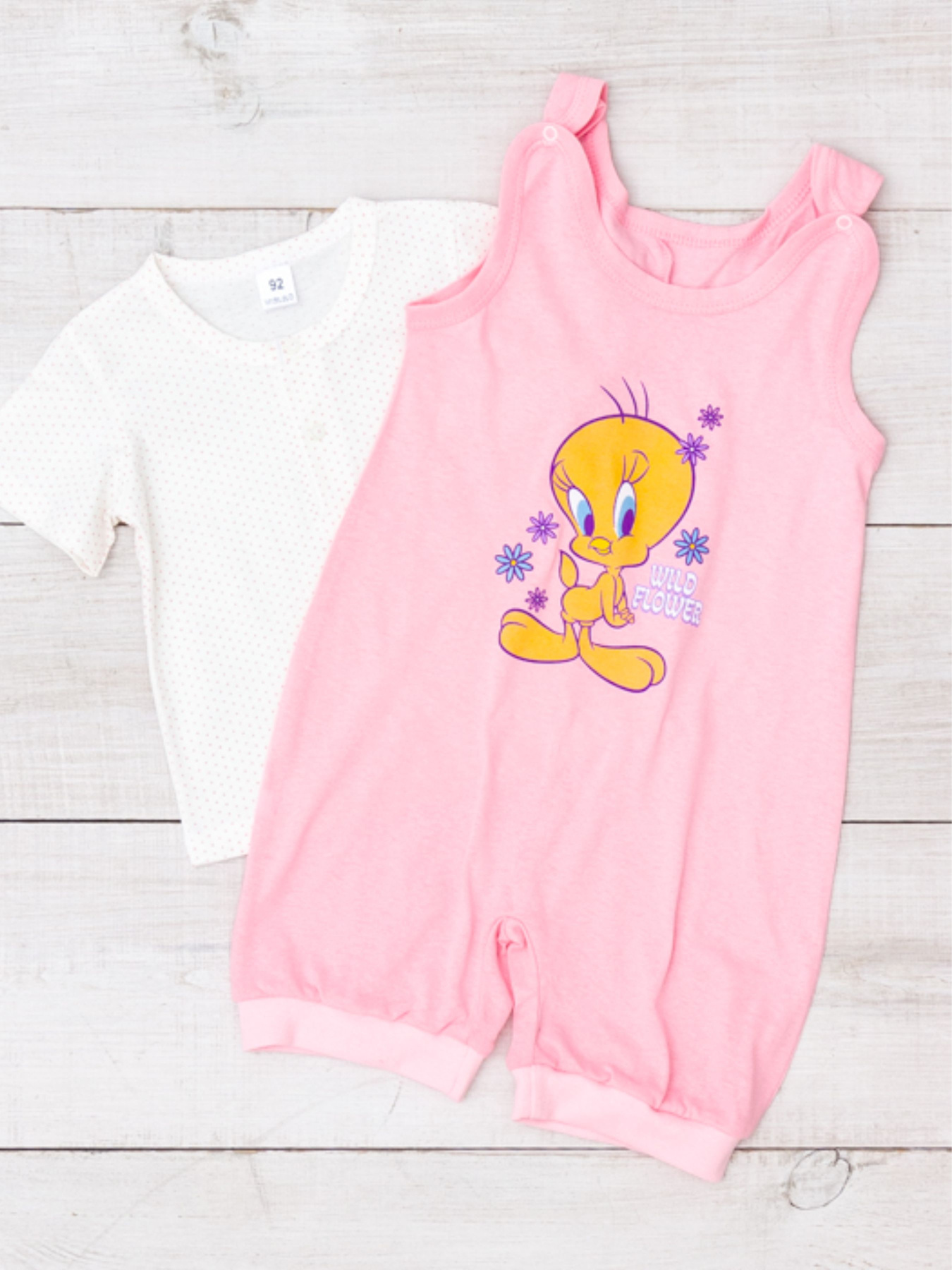 Комплект для младенцев Носи своє модель 5018-002-33-5-tweety Фото