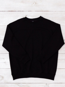 Свитшот Носи своє модель 8379-057-1-chornij Фото