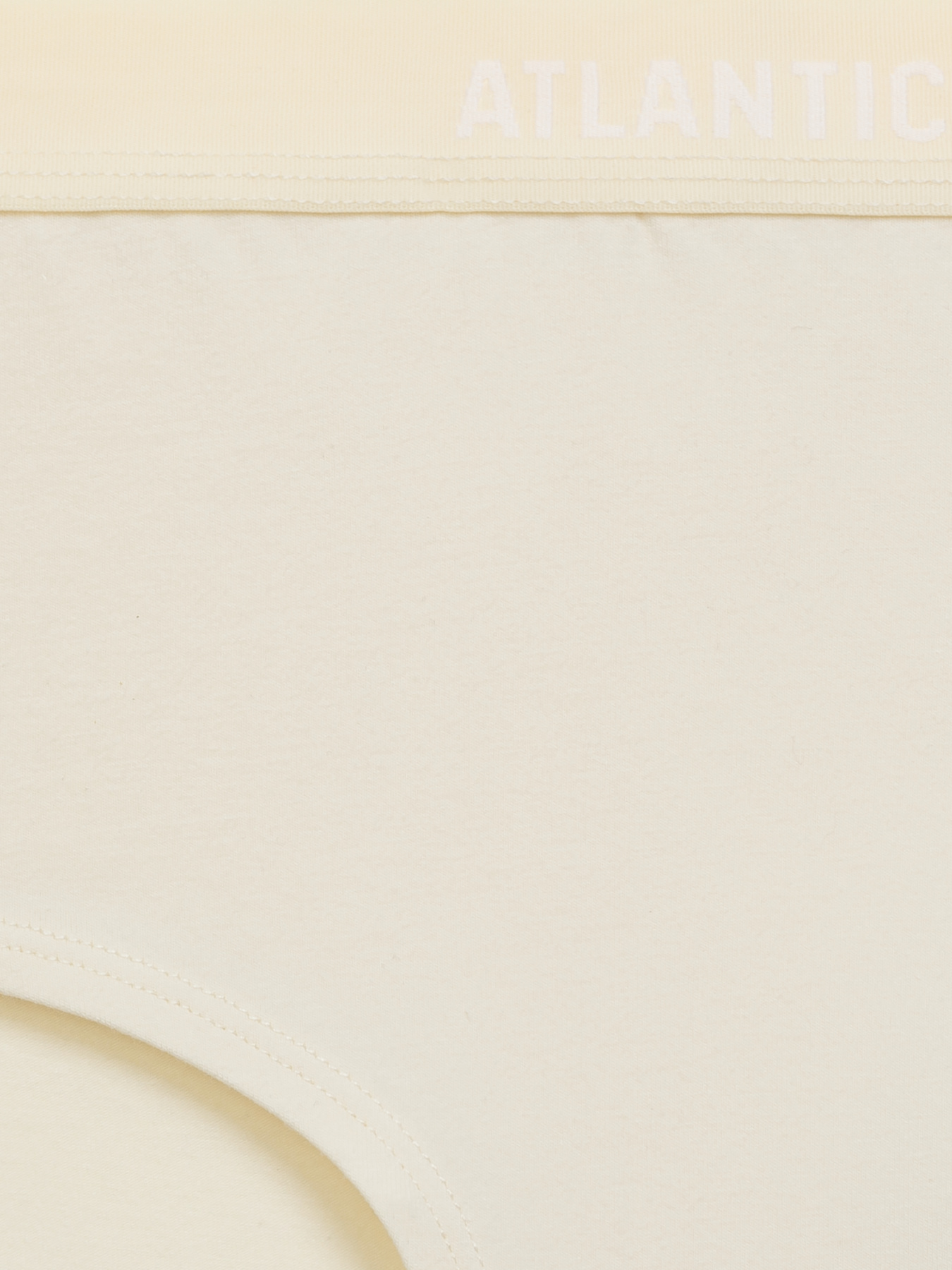 Набір трусів Atlantic модель 3CLP-009_BEZ_WAN_NIEJ Набір трусів Atlantic модель 3CLP-009_BEZ_WAN_NIEJ Фото