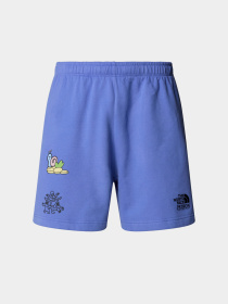 Шорты The North Face модель NF0A8C2X0YI1 Фото