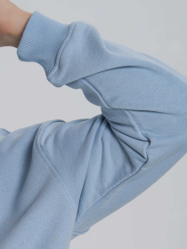 Худи Роза модель 240619_gray_blue Фото