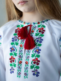 Вышитая рубашка Едельвіка модель 383-23-09 Фото