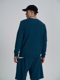 Свитшот Роза модель 210542_blue_green Фото