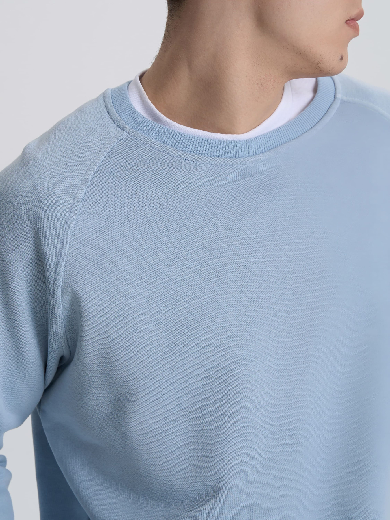 Свитшот Роза модель 240620_gray_blue Фото