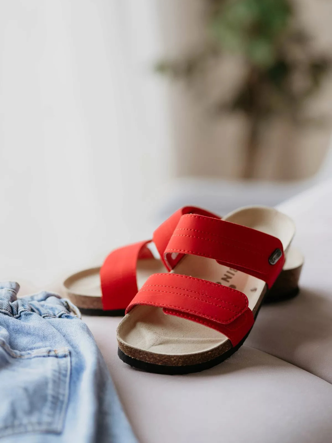 Шльопанці Grubin модель gr-59365_red Фото