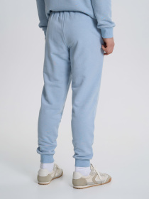 Джогери Роза модель 230432_blue_green Фото