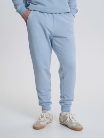 Джогери Роза модель 230432_blue_green Фото