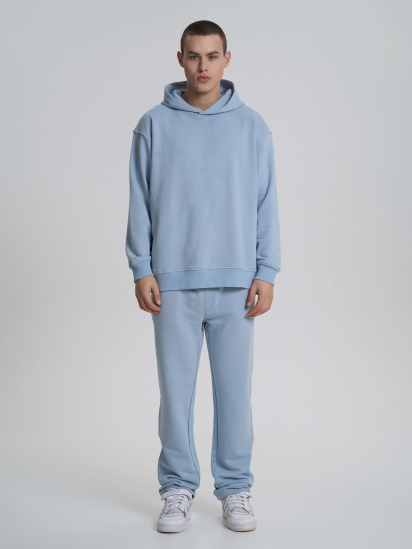 Штани повсякденні Роза модель 240654_gray_blue - фото