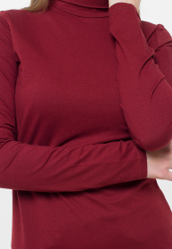 Водолазка Роза модель 210512-2 Водолазка Роза модель 210512-2 Фото