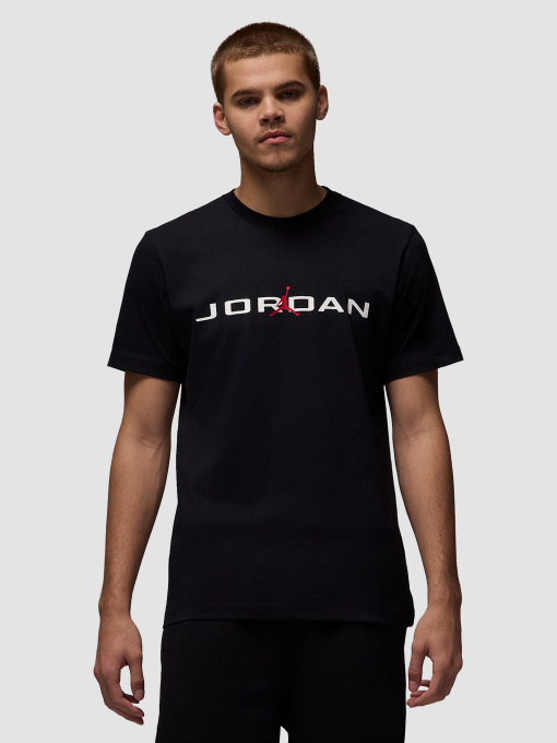 Футболка Jordan Air T-Shirt модель IB7353-010 Фото