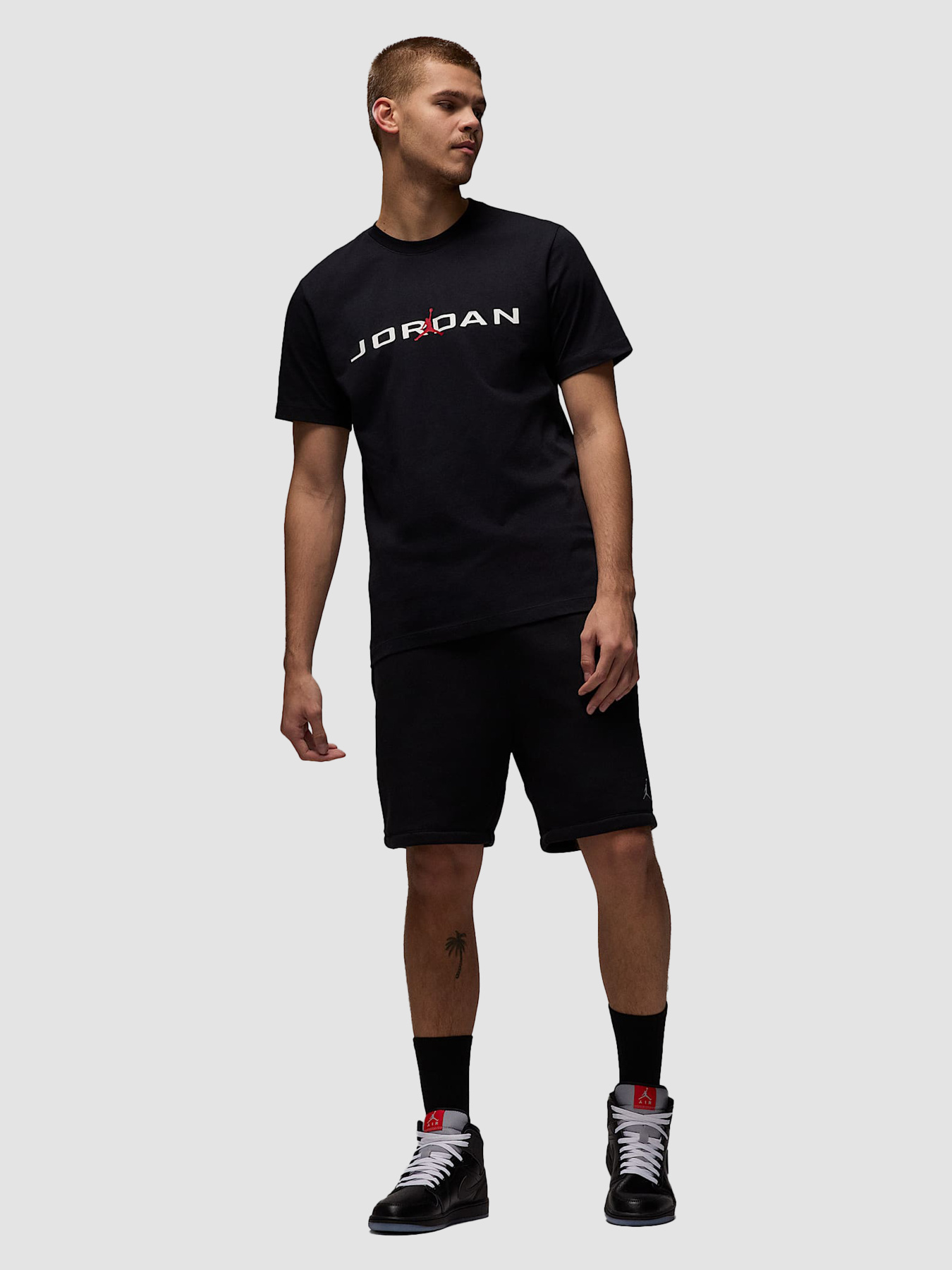 Футболка Jordan Air T-Shirt модель IB7353-010 Фото