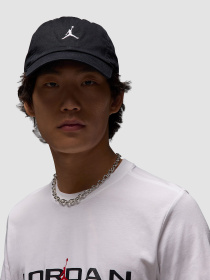 Футболка Jordan Air Ss Crew модель IB7353-101 Фото