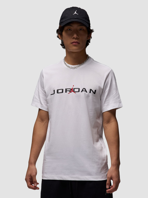 Футболка Jordan Air Ss Crew модель IB7353-101 Фото