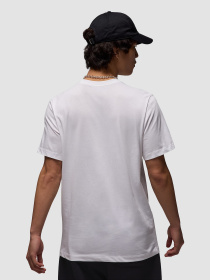 Футболка Jordan Air Ss Crew модель IB7353-101 Фото