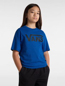 Футболкалар мен поло жейделер Vans үлгі VN000IVF7WM1 Фото