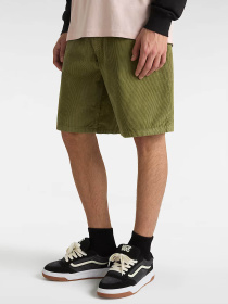 Шорты Vans модель VN000M37ZBF1 Фото