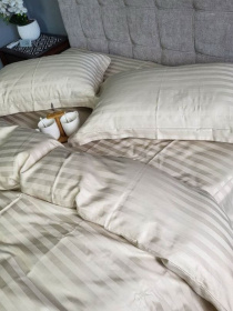 Комплект Постільної Білизни Страйп Сатин Champagne Vital Textile Модель SP1.5-2 Фото