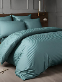 Комплект Постельного белья Страйп Сатин Sage Vital Textile модель SP1.5-6 Фото