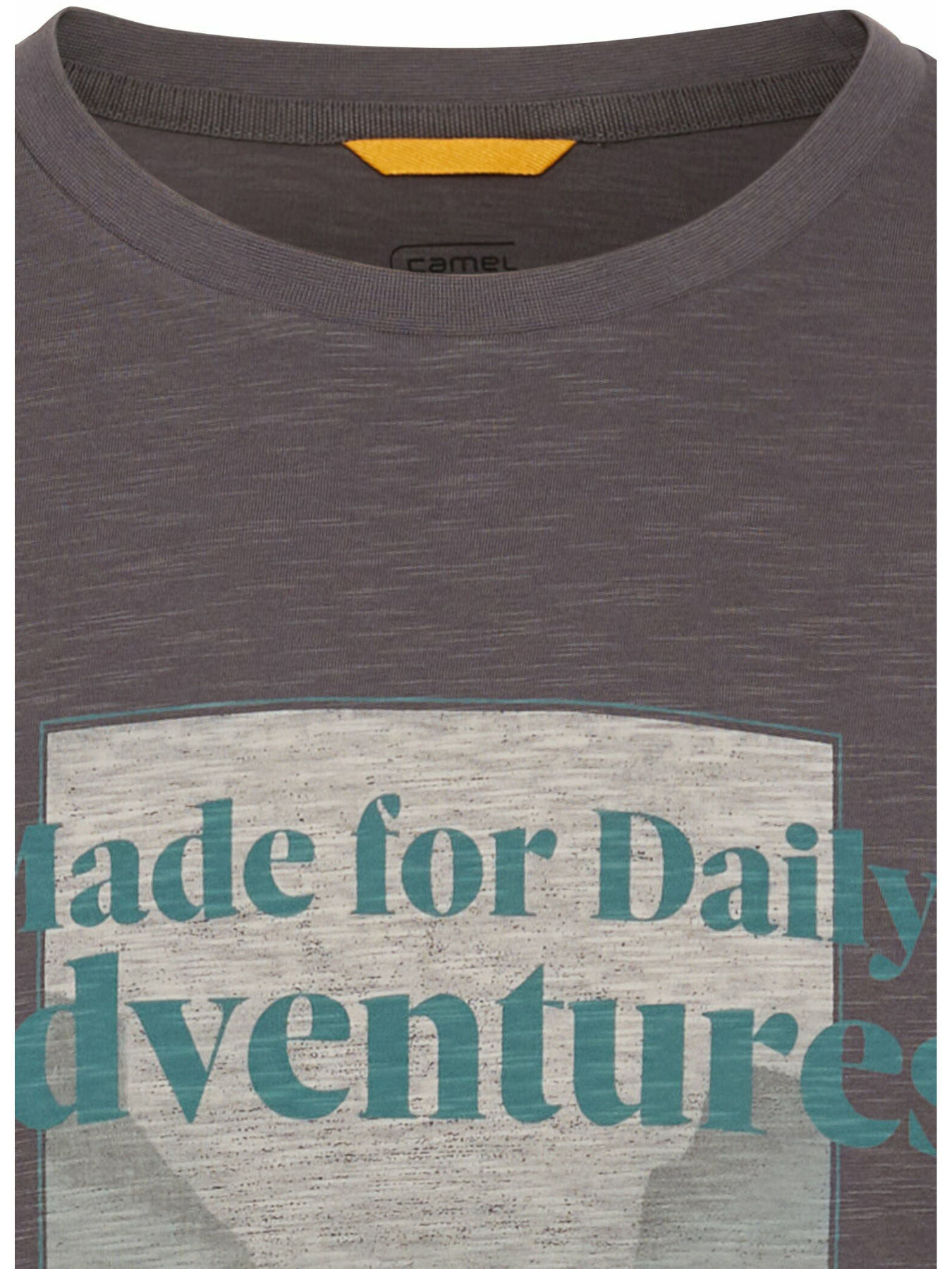 Футболки і поло Camel Active T-shirt 1/2 arm модель 409700-5T06-08 Фото
