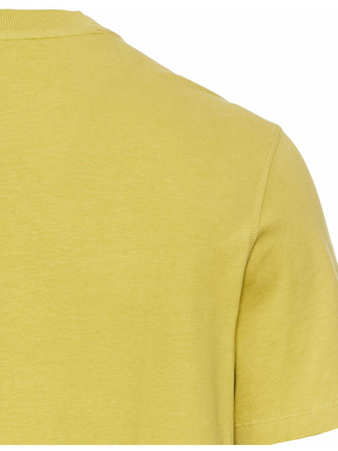 Футболка Camel Active модель 409700-5T17-33 Фото